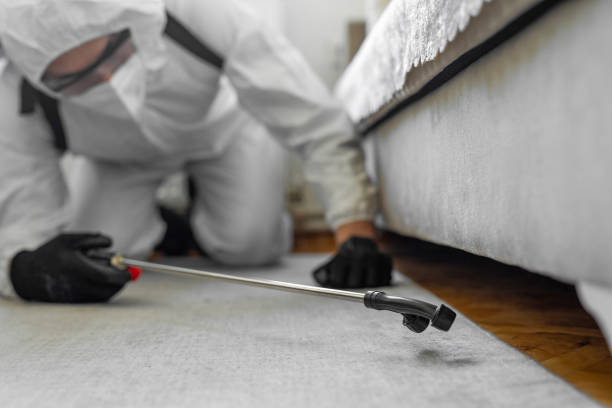 Professional Cockroach Control technician working in Wolcott, IN