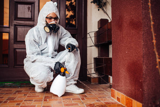 Reliable Cockroach Control contractor in Wolcott, IN by Nex Pest Control